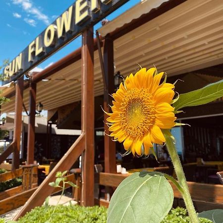 Sun Flower Apart Hotel Side Luaran gambar