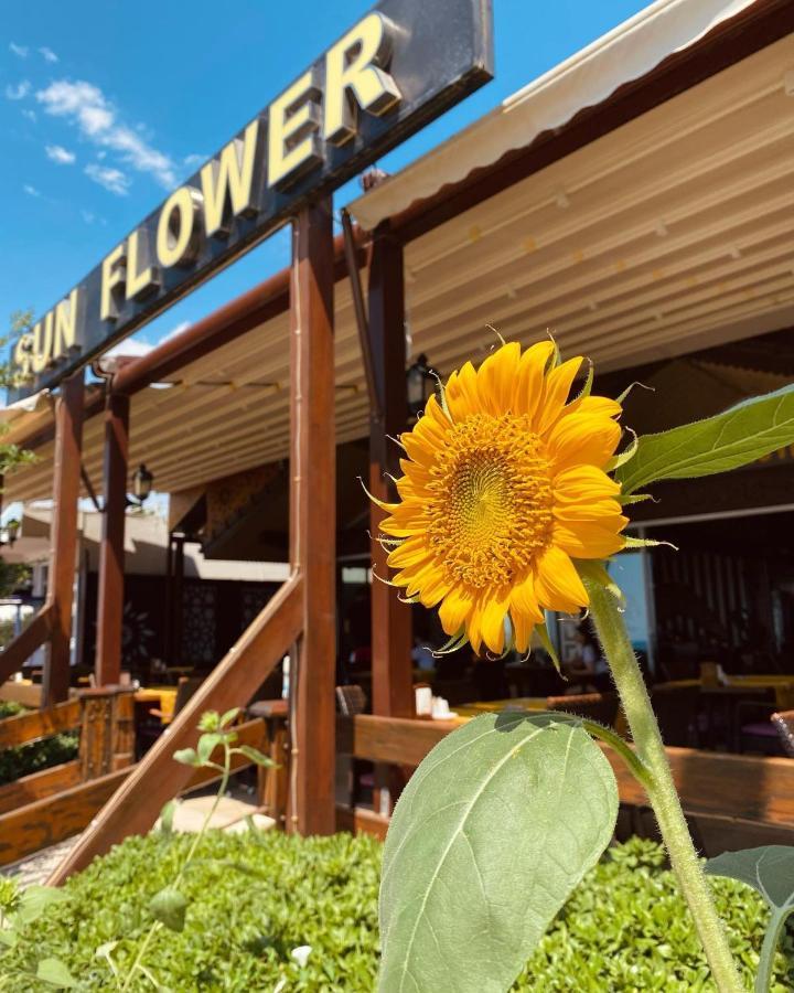 Sun Flower Apart Hotel Side Luaran gambar